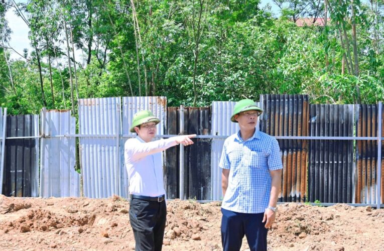 Phú Thọ: Kiên quyết xử lý vi phạm đất đai mới phát sinh tại phường Vĩnh Phúc
