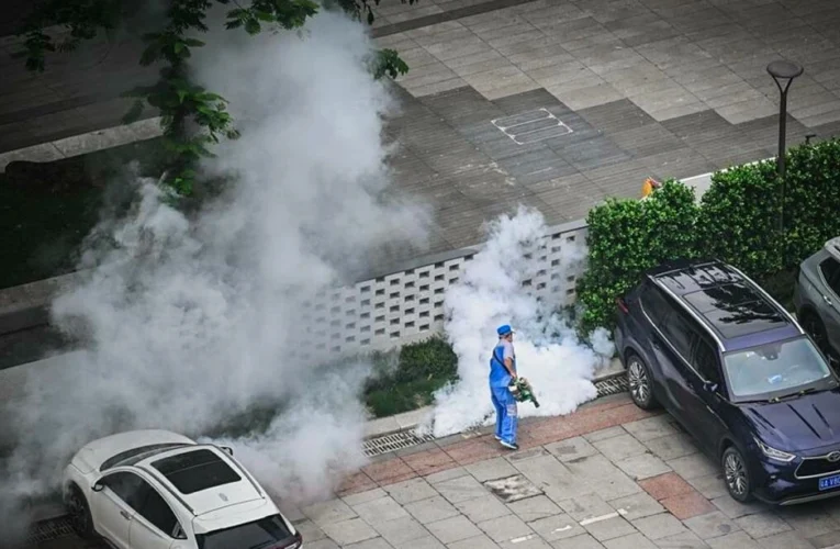 Bộ Y tế yêu cầu giám sát dịch bệnh Chikungunya ngay tại cửa khẩu