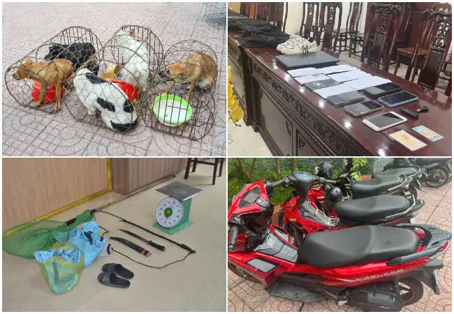 Triệt phá đường dây chuyên trộm chó