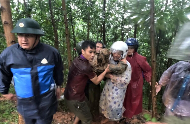 Clip: Thót tim giải cứu nam tài xế bị cuốn xuống vực ở Đà Nẵng