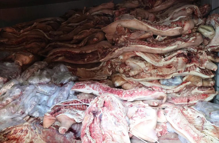 Trữ đông 38 tấn lợn chết, nhiễm dịch tả châu Phi chờ bán ra thị trường