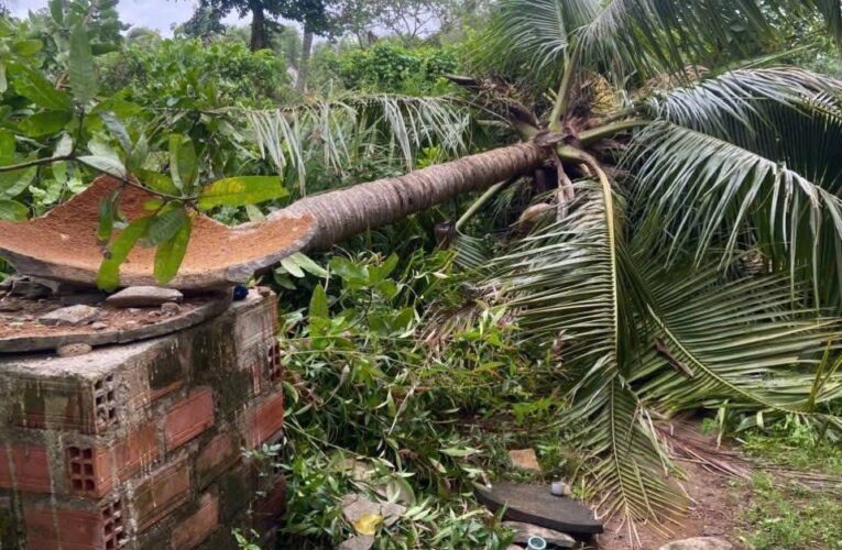 Cảnh tượng đau lòng khi bão số 13 đi qua