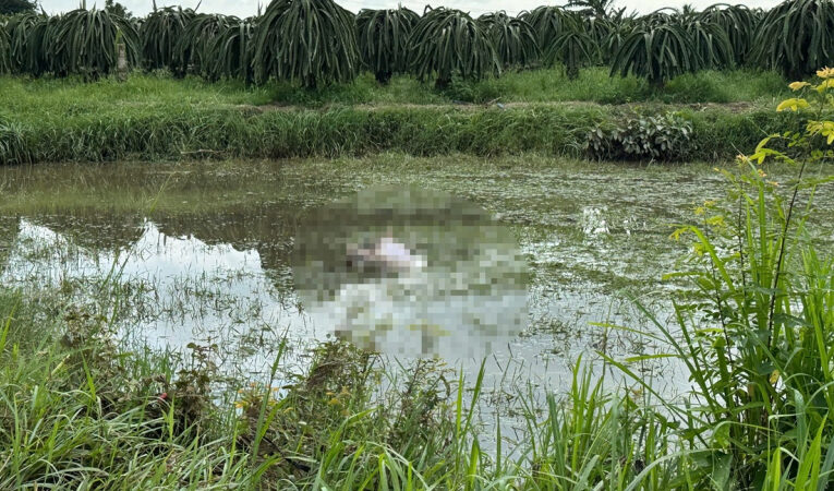 Phát hiện th.i thể một người đàn ông nằm úp dưới ruộng sau khi nước ngập rút