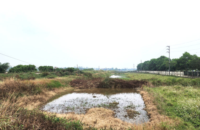 Phú Thọ: Quyết liệt giải phóng mặt bằng dự án Cải tạo, mở rộng QL2 đoạn Vĩnh Yên-Việt Trì