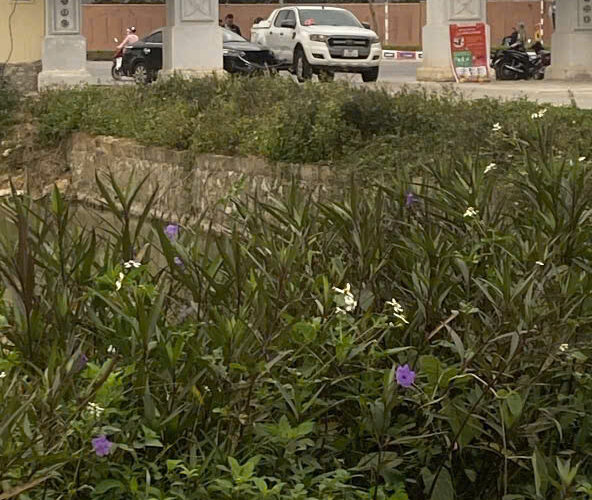 Cổng chùa Thiện Kế sáng nay