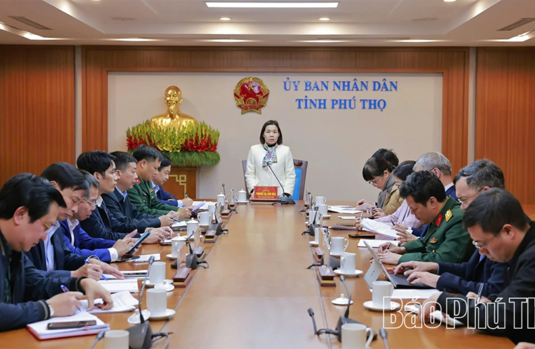 Bắn pháo hoa chào mừng Tết Nguyên đán Bính Ngọ 2026 tại 3 điểm cấp tỉnh và 12 điểm xã, phường