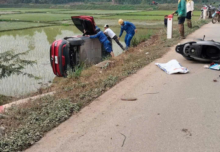 TN tại Tử Du, Lập Thạch