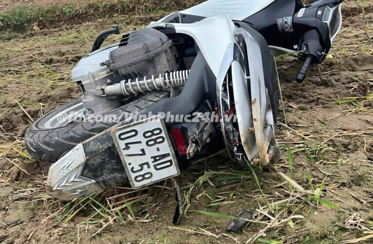 Tại Xuân Lôi Lập Thạch (gần cây xăng Kim Anh hướng về Xuân Lôi)