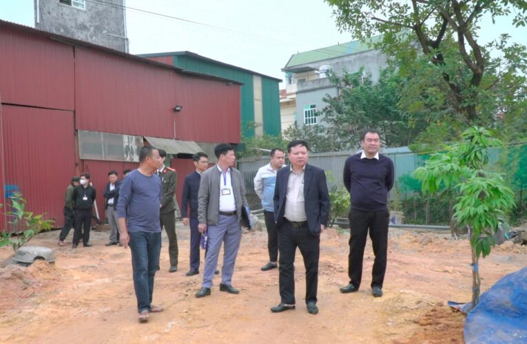 Phú Thọ: Xử phạt 15 triệu đồng về hành vi tự ý san lấp trái phép đất nông nghiệp