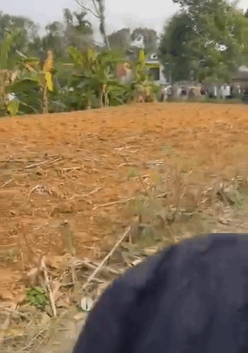 Mùng 1 tết tại Hạ Hoà -Phú Thọ thấy bảo 🔪 cả nhà xong 🔥 nhà 🥶