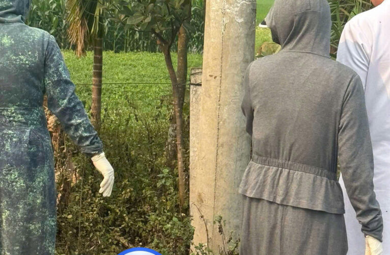 Hiện trường vụ tai nạn hai thanh niên đâm vào cột điện ở Trung Nguyên – Yên Lạc (cũ)