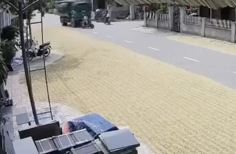 PHƠI THÓC LÚA TRÊN ĐƯỜNG BỘ CÓ THỂ BỊ XEM XÉT TRÁCH NHIỆM TRONG VỤ TAI NẠN GIAO THÔNG
